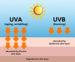 Sự khác nhau giữa tia UVA và UVB